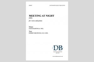 Meeting at Night